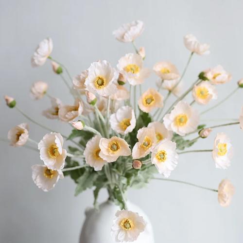 Image Instagram